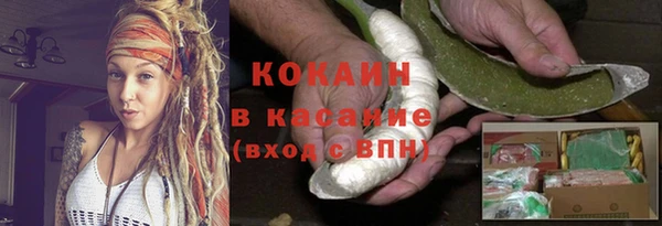 индика Алзамай