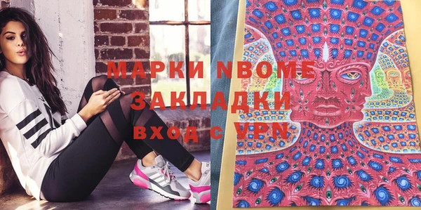 индика Алзамай