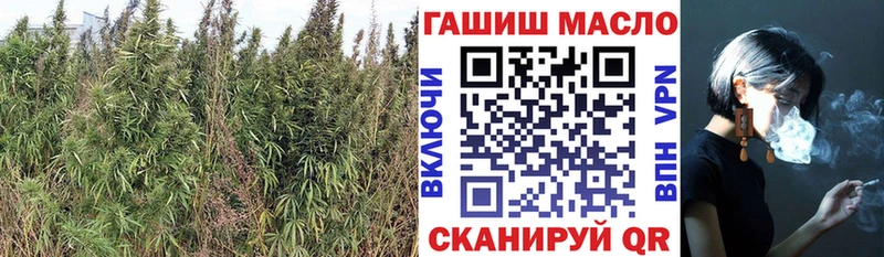 Дистиллят ТГК концентрат  Губкин 